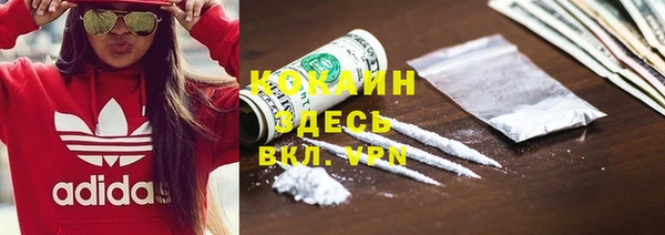 дурь Арсеньев