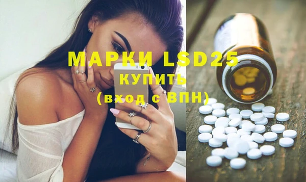 хмурый Алзамай