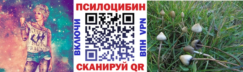 Галлюциногенные грибы GOLDEN TEACHER  как найти закладки  Верхняя Пышма 
